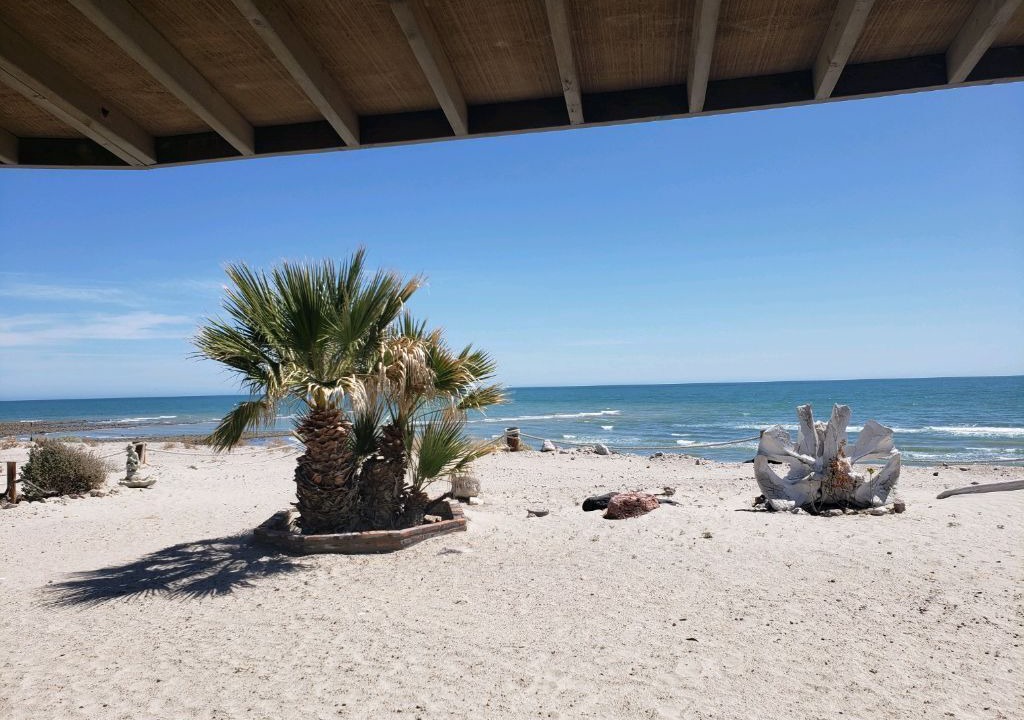 Photo of Others in San Felipe