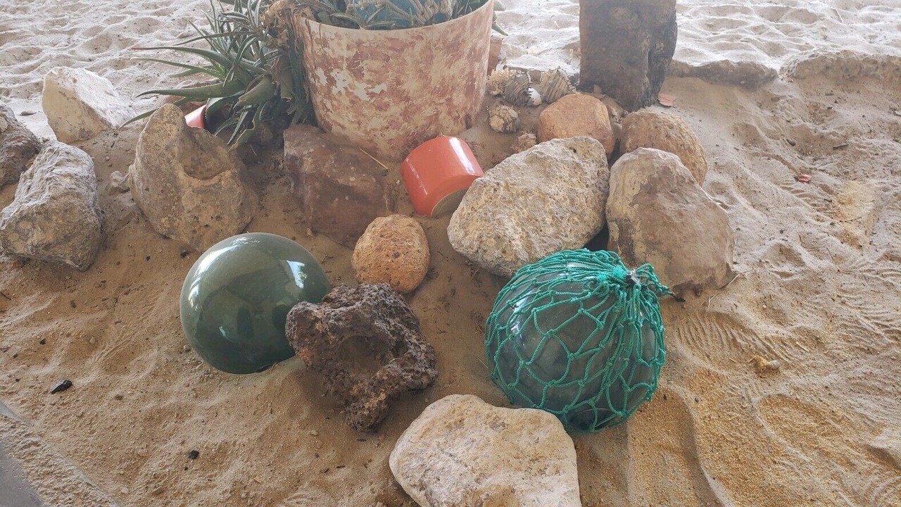 Photo of Others in San Felipe