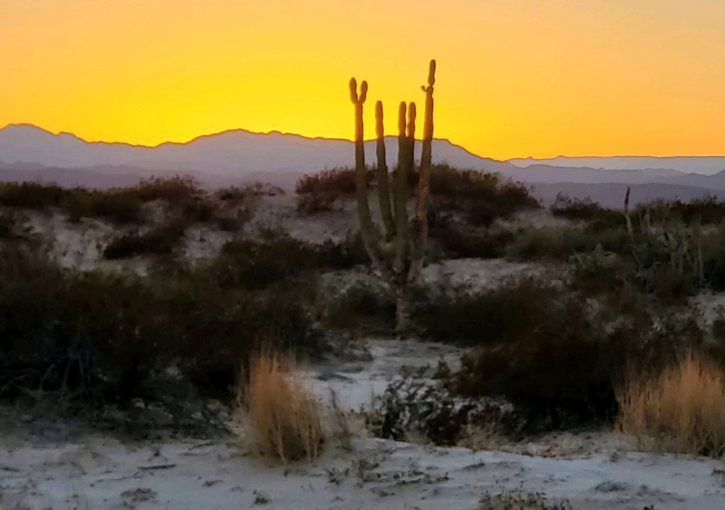Photo of Others in San Felipe