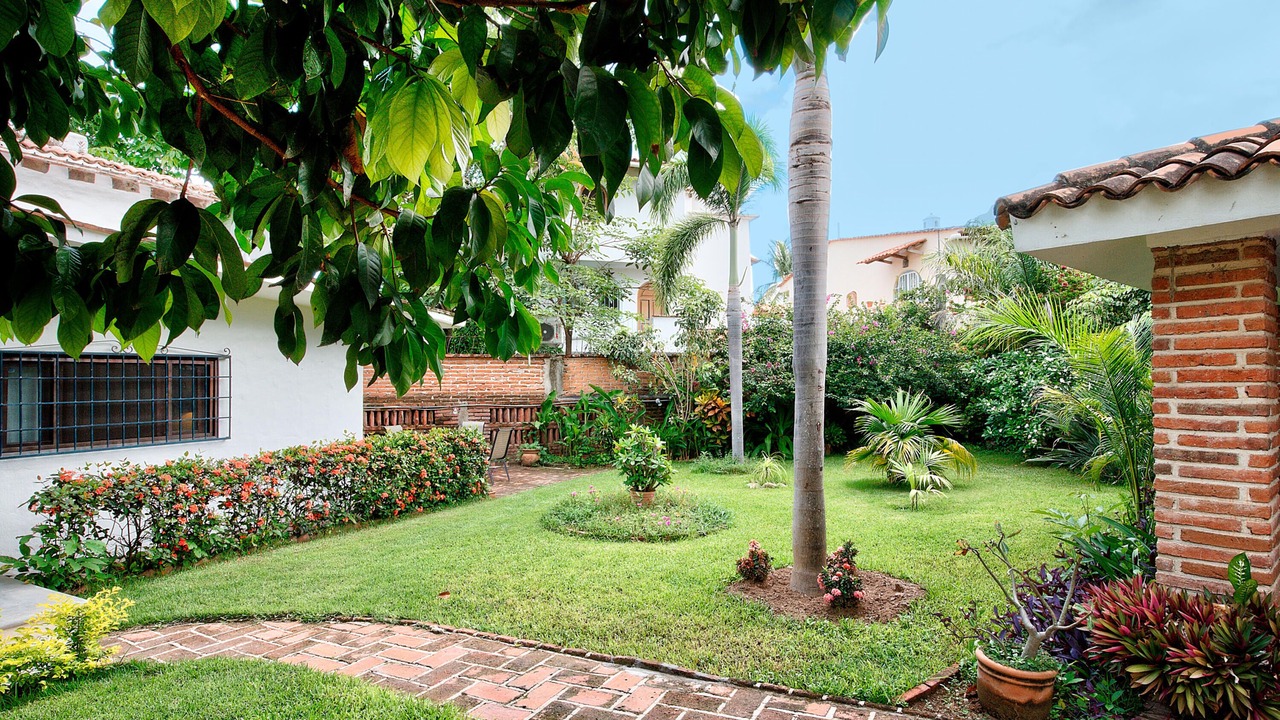 Photo of Outdoor in Bucerias