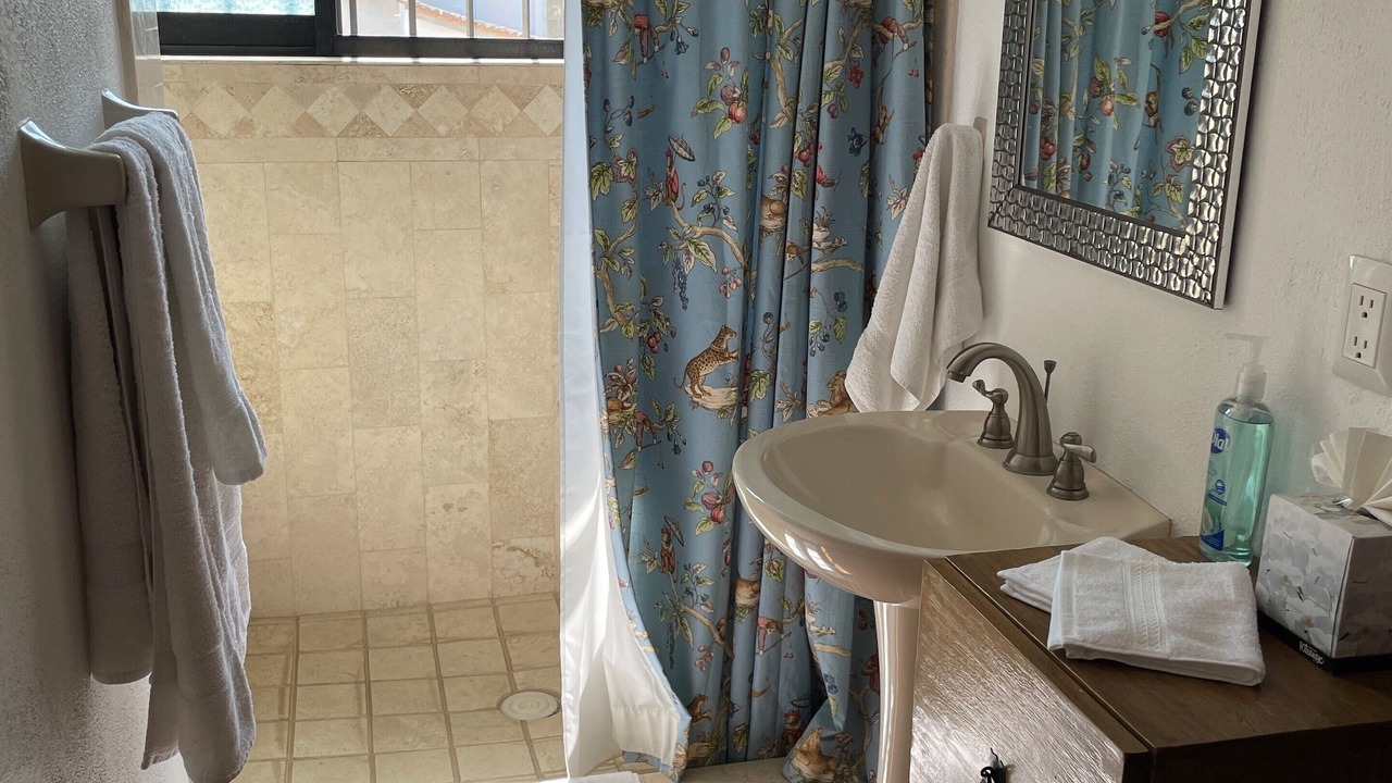 Photo of Bathroom in Bucerias