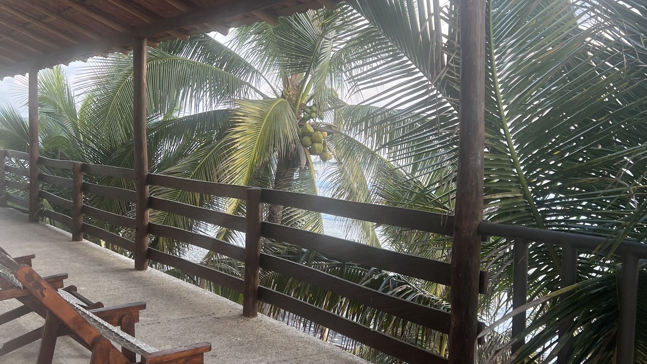 Photo of Patio Balcony in Saladita