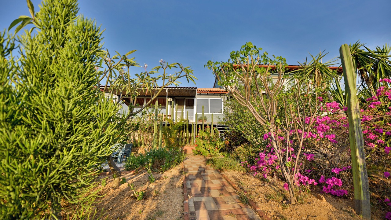 Photo of Outdoor in Oaxaca