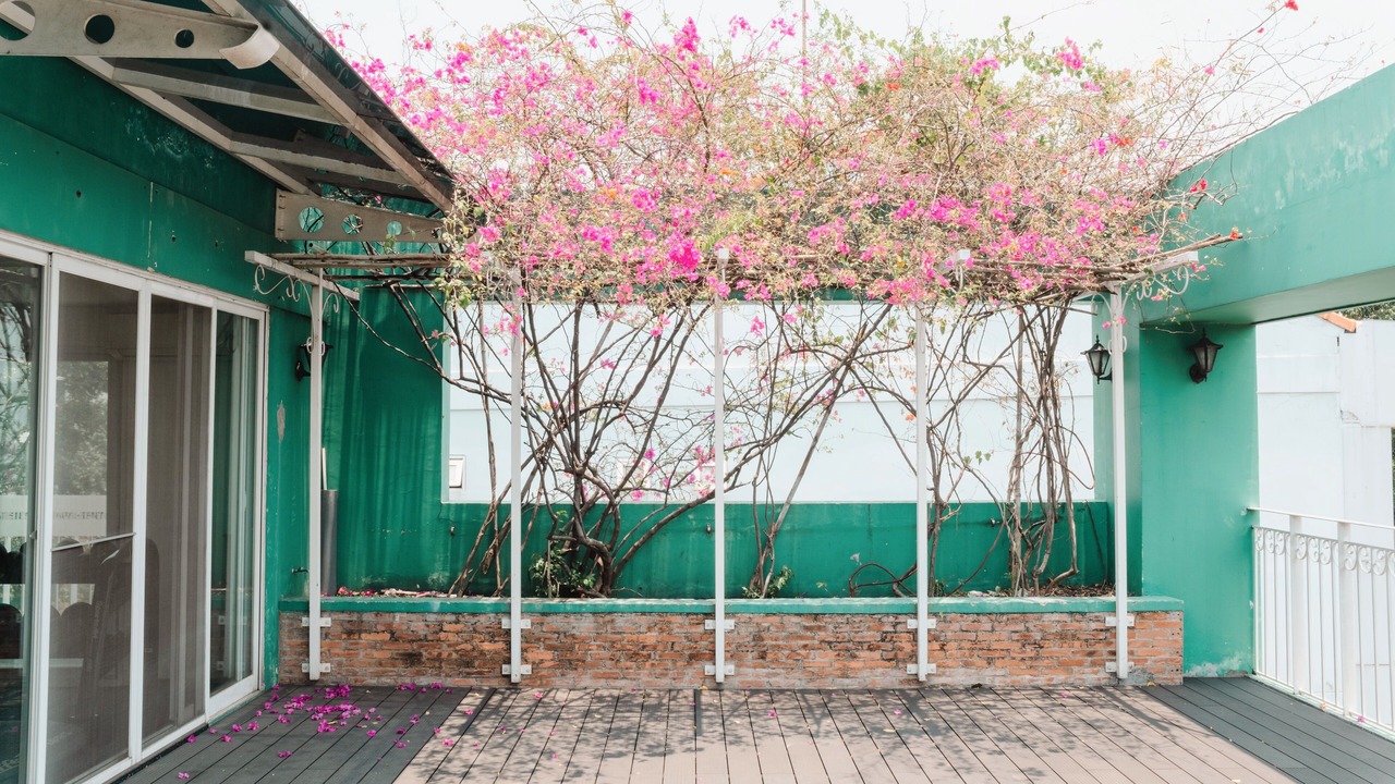 Photo of Outdoor in Phuong 6
