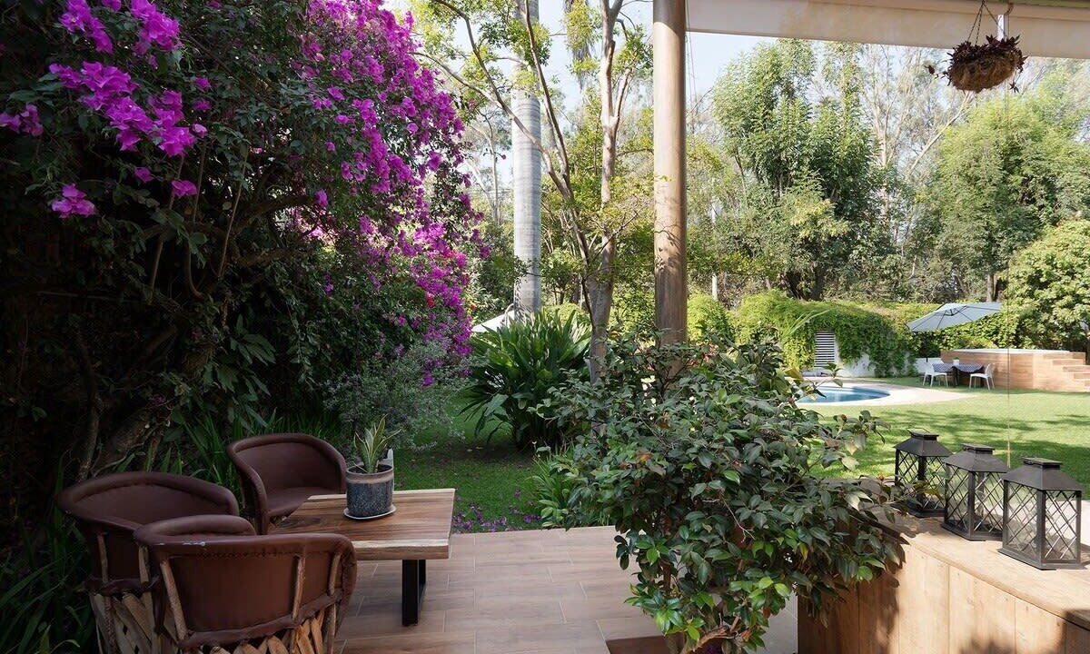 Photo of Outdoor in Ajijic