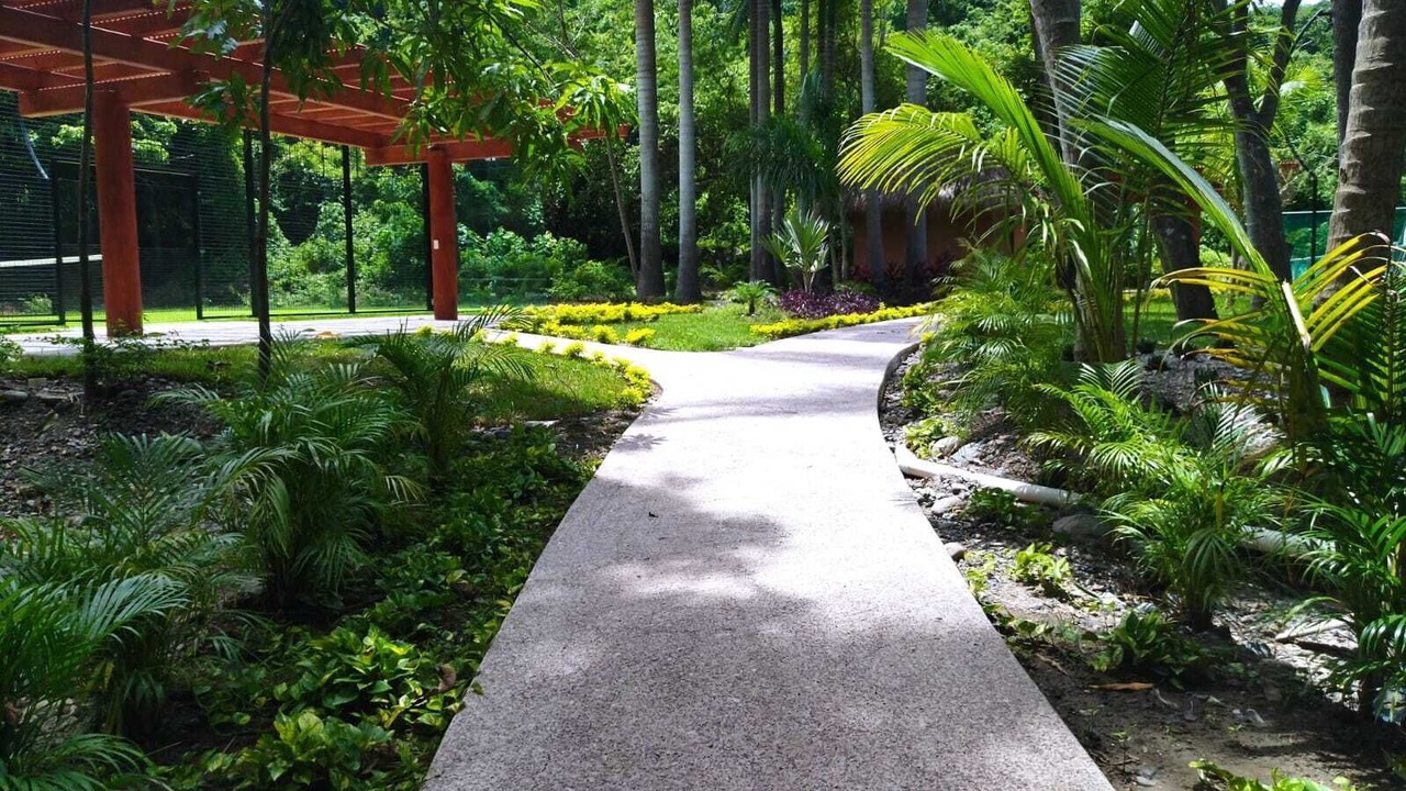 Photo of Outdoor in Zihuatanejo