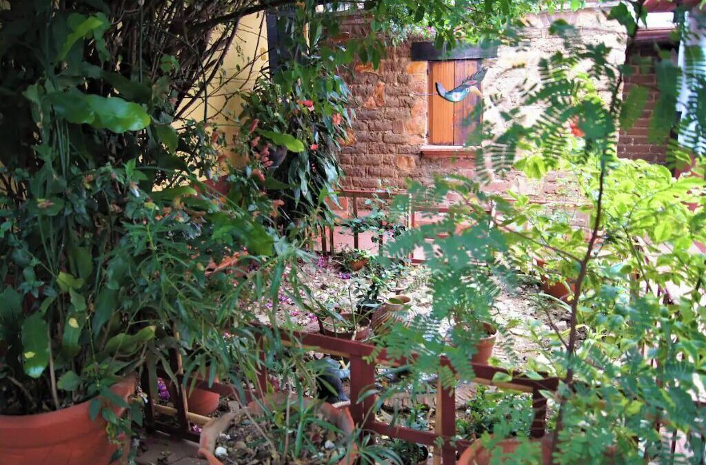 Photo of Outdoor in Oaxaca
