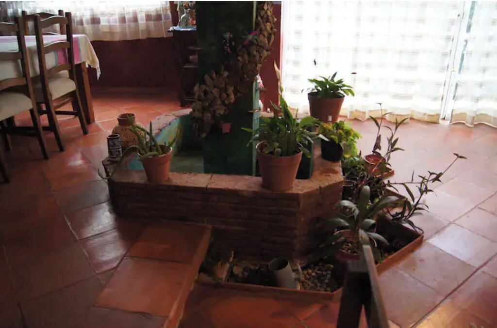 Photo of Others in Oaxaca