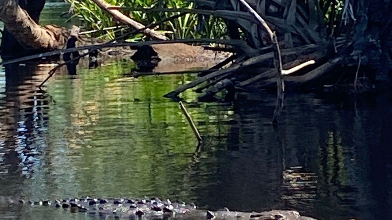 Photo of Others in San Agustinillo