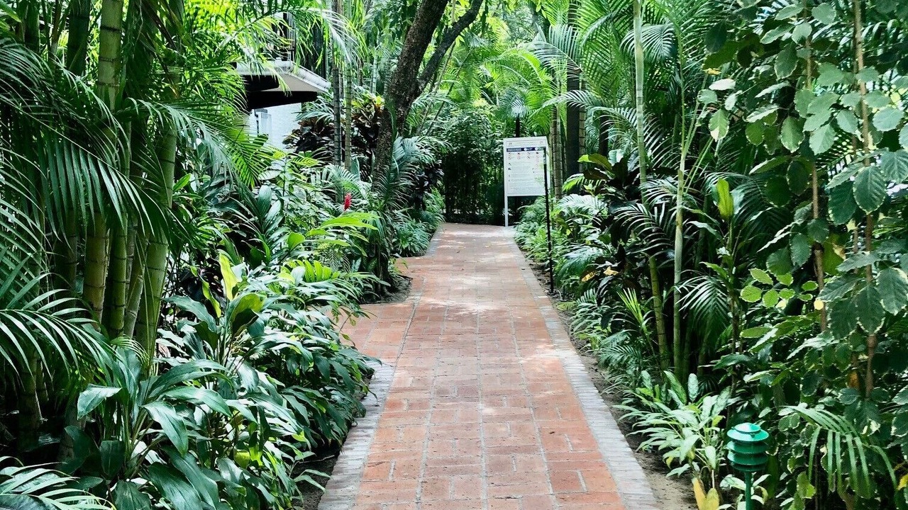 Photo of Outdoor in Fluvial Vallarta