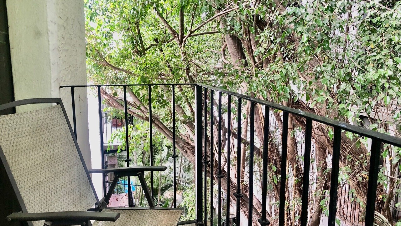 Photo of Outdoor in Fluvial Vallarta