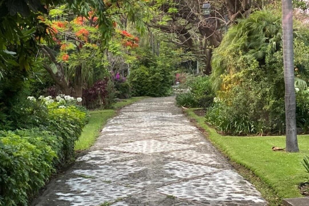 Photo of Outdoor in Central Cuernavaca