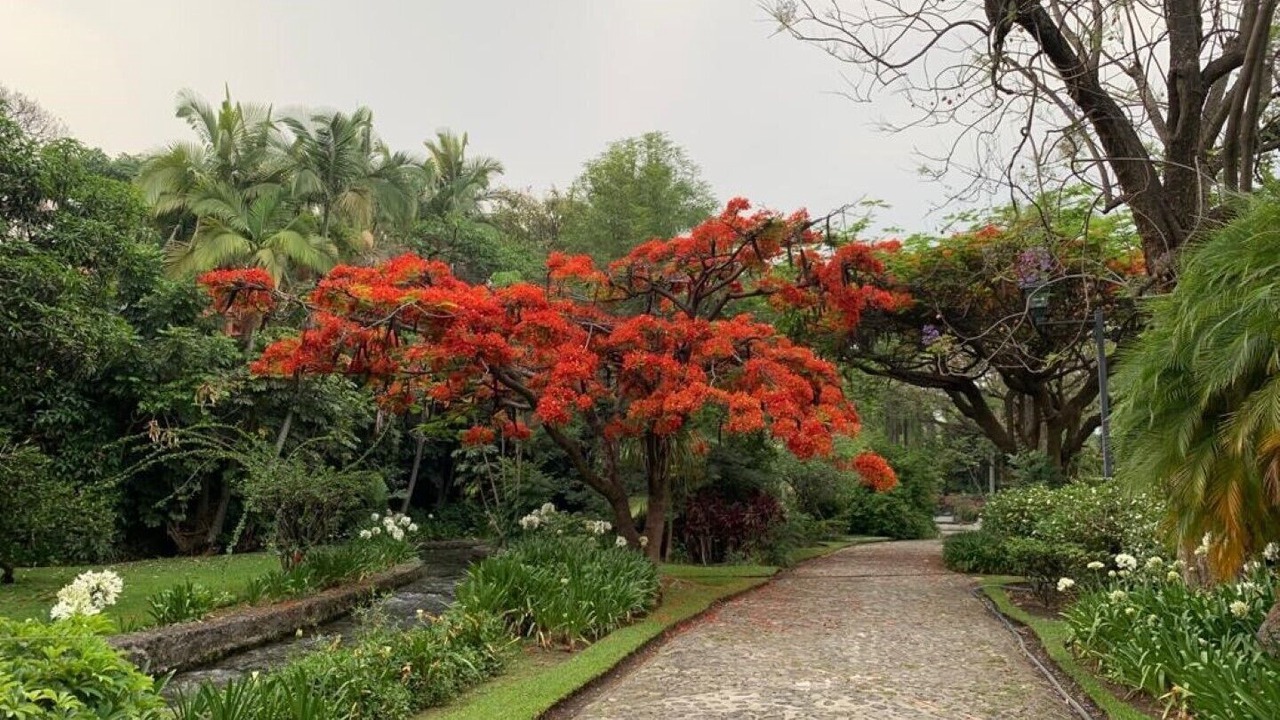 Photo of Outdoor in Central Cuernavaca