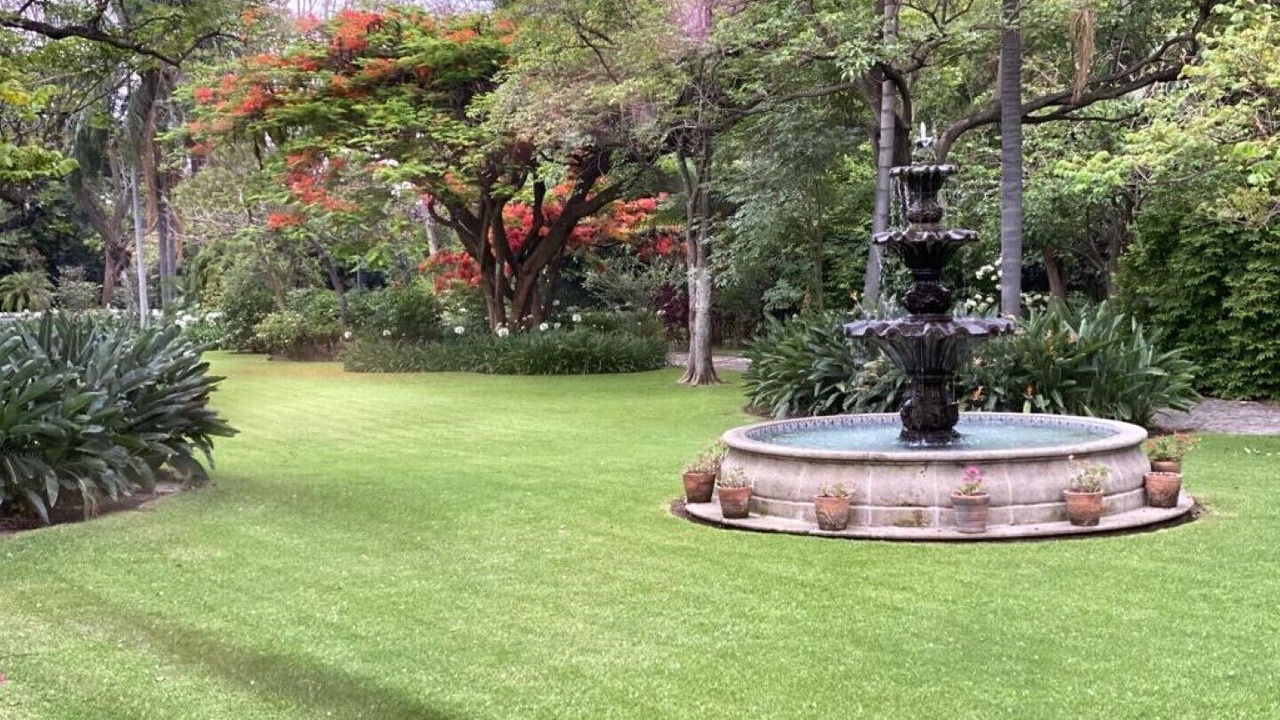 Photo of Outdoor in Central Cuernavaca