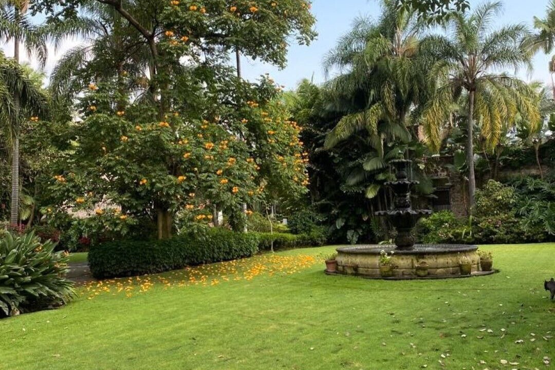 Photo of Outdoor in Central Cuernavaca