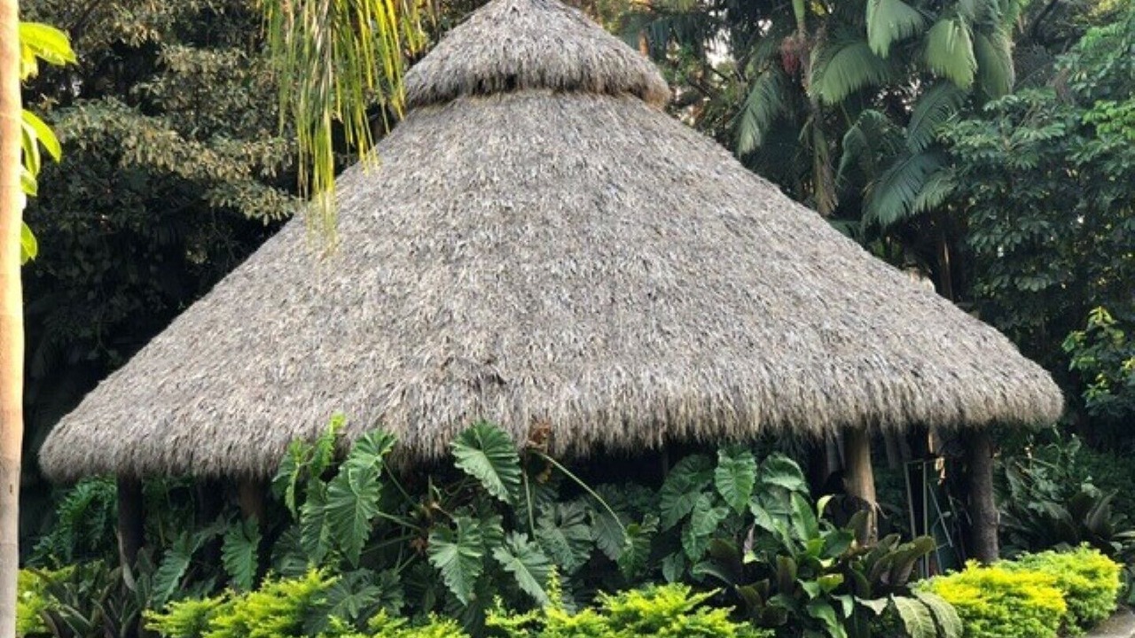 Photo of Outdoor in Central Cuernavaca