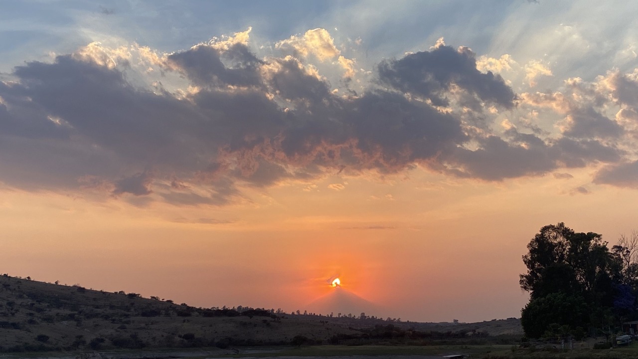 Photo of Others in El Oasis Valsequillo