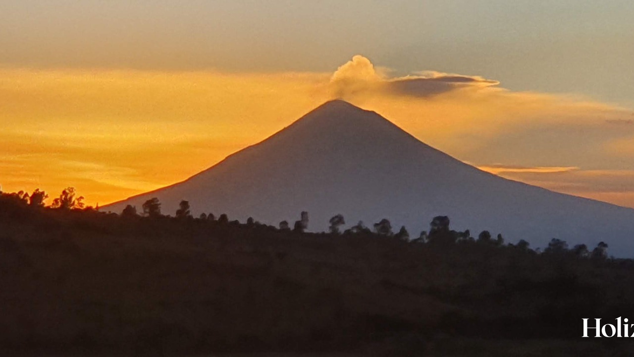 Photo of Outdoor in El Oasis Valsequillo