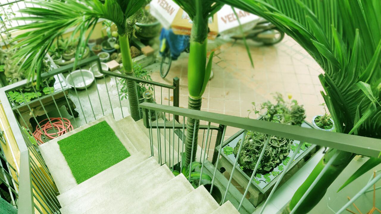 Photo of Outdoor in Hue City Centre
