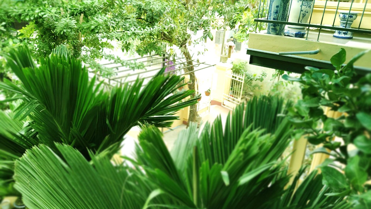 Photo of Outdoor in Hue City Centre