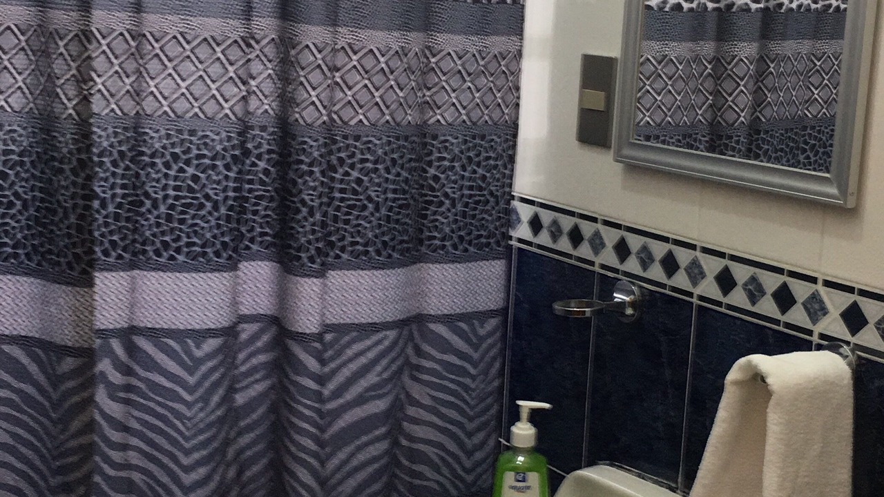 Photo of Bathroom in Puebla Historic Center