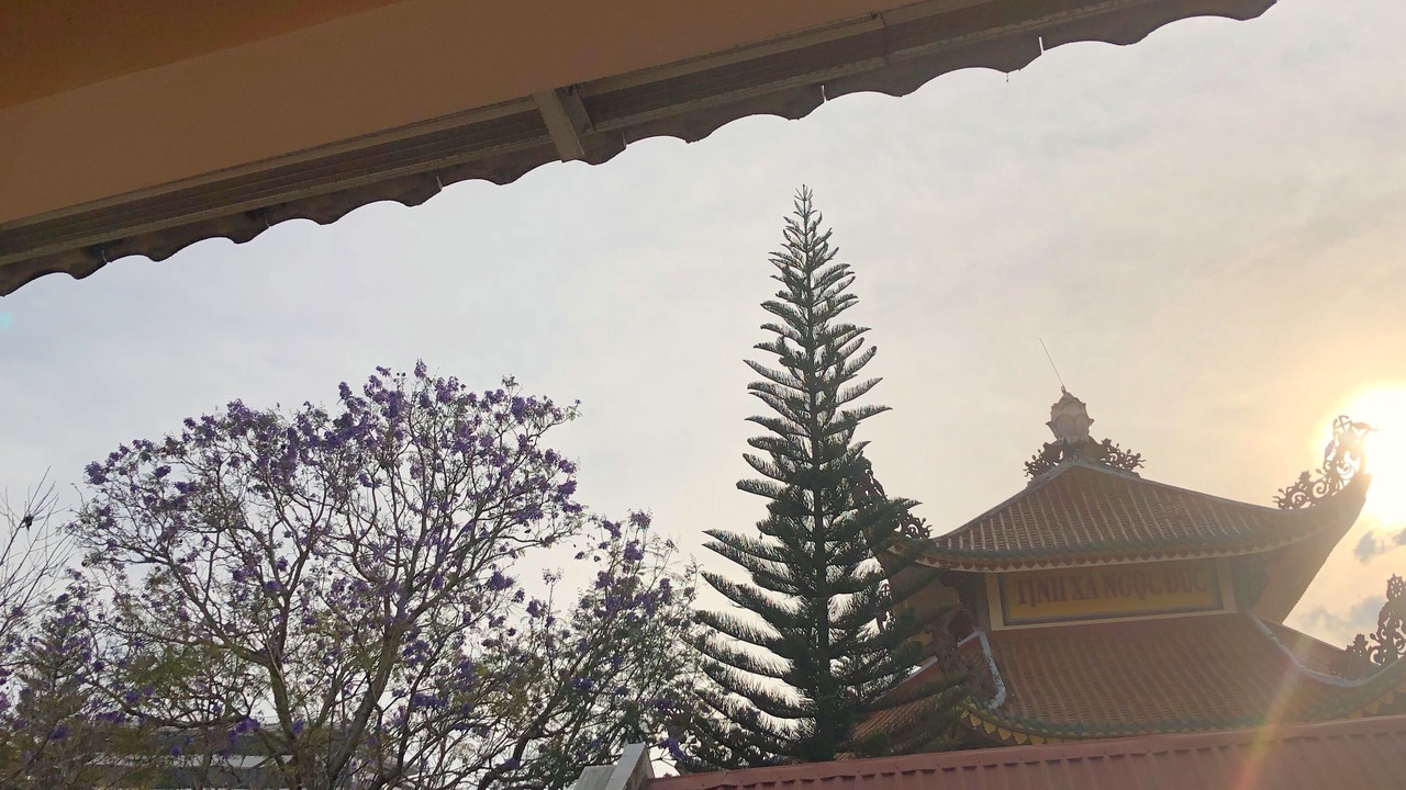 Photo of Outdoor in Phuong 10
