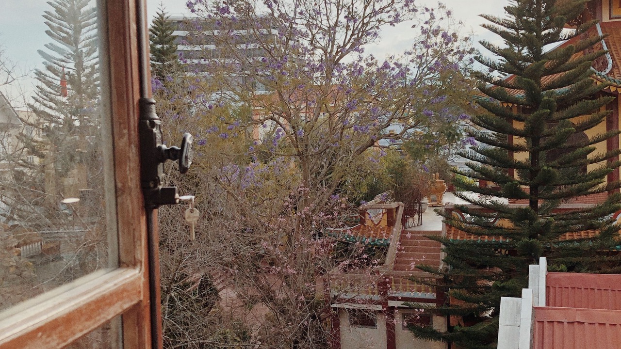 Photo of Others in Phuong 10