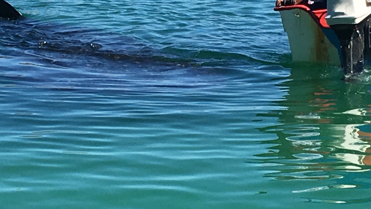 Photo of Others in Rosarito