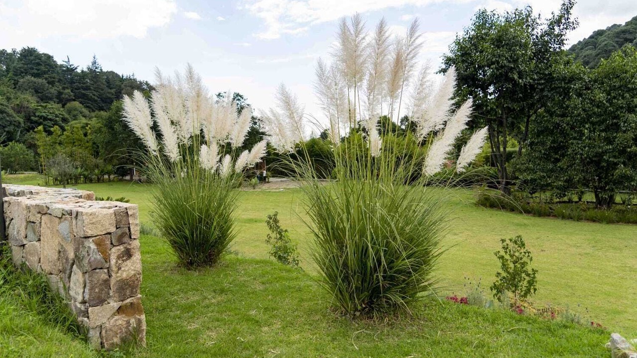 Photo of Outdoor in Valle de Bravo