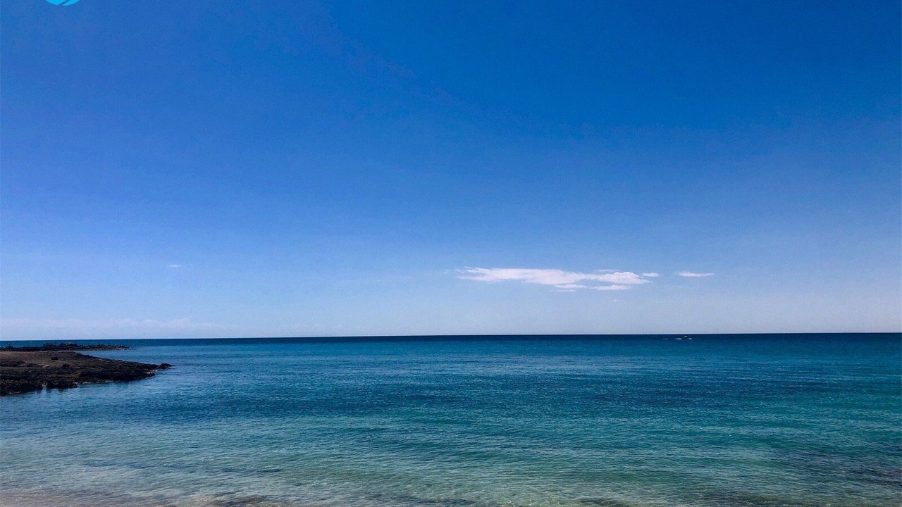 Photo of Others in Cholla Bay