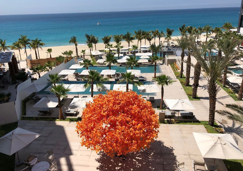 Photo of Others in Cabo San Lucas