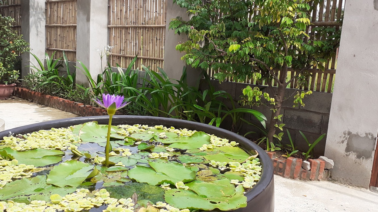 Photo of Outdoor in Cam Chau