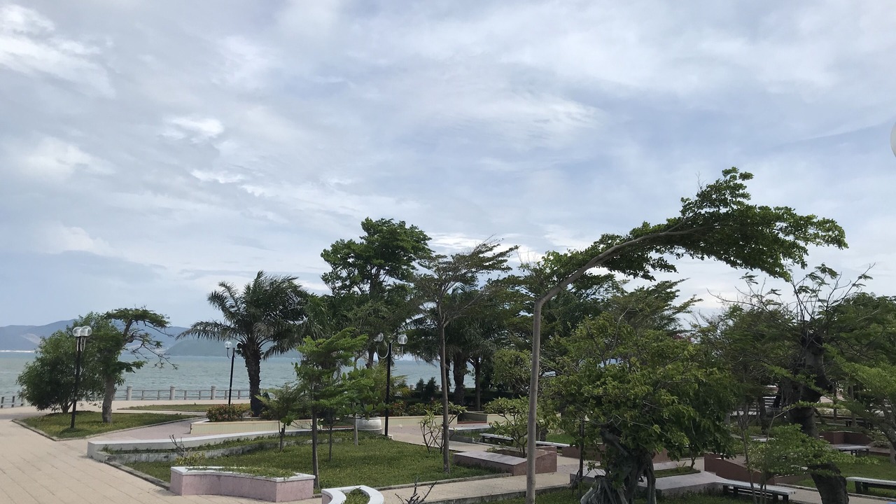 Photo of Others in Tran Phu Beach