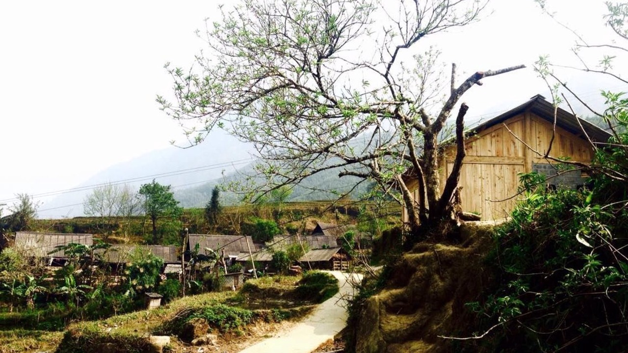Photo of Outdoor in Sa Pa