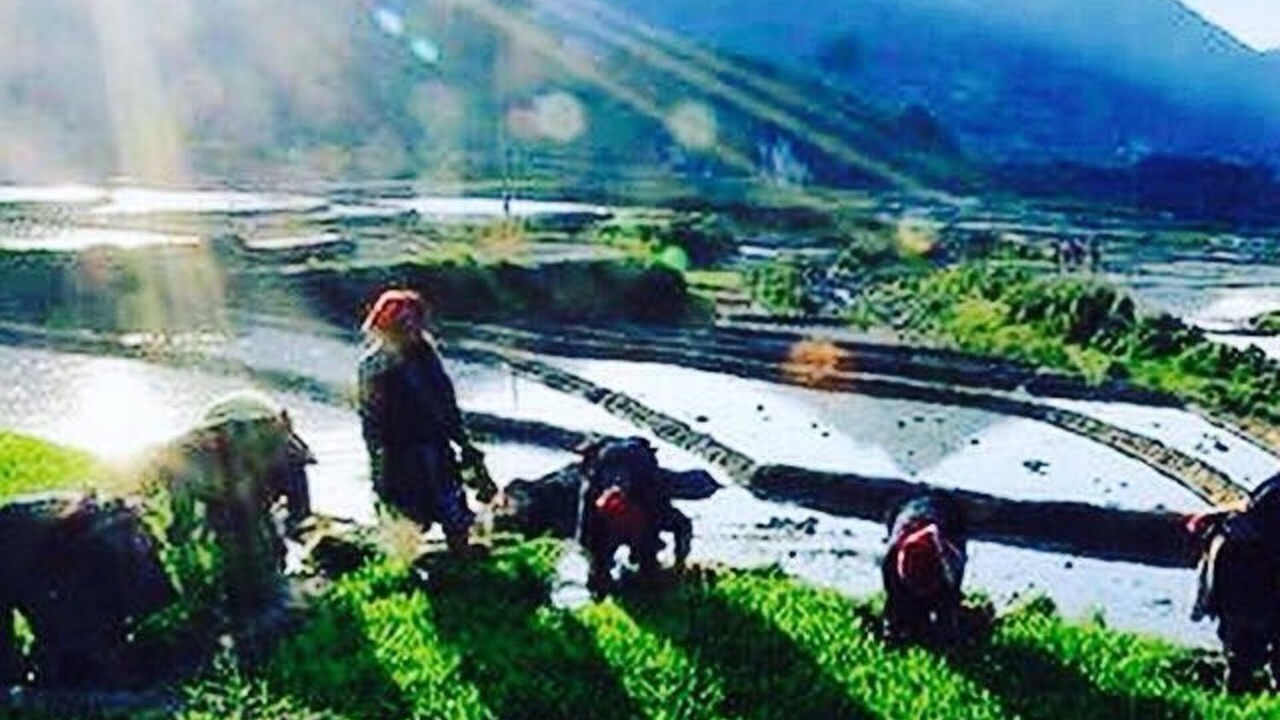Photo of Others in Sa Pa