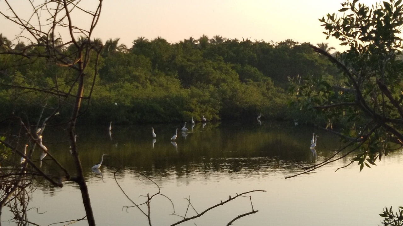 Photo of Others in Barra de Navidad