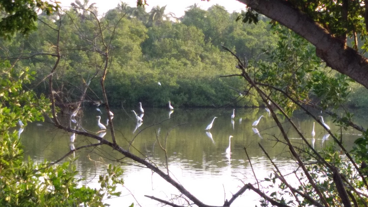 Photo of Outdoor in Barra de Navidad