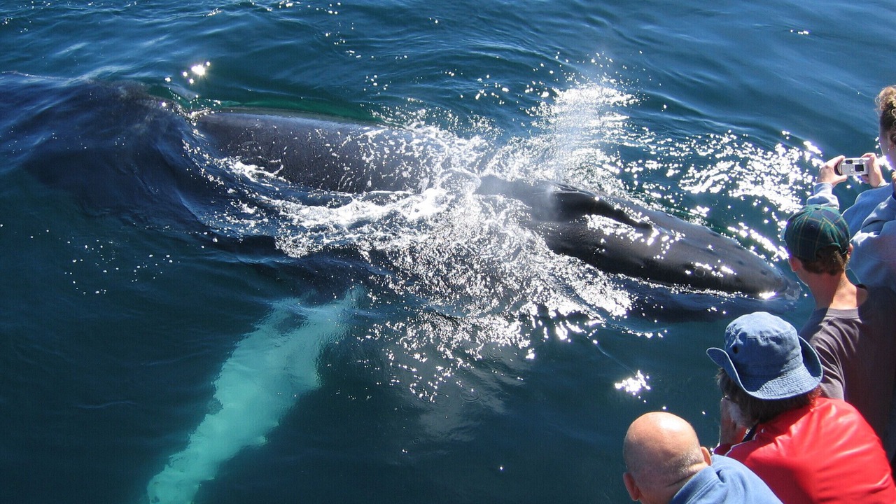 Photo of Others in Punta de Mita