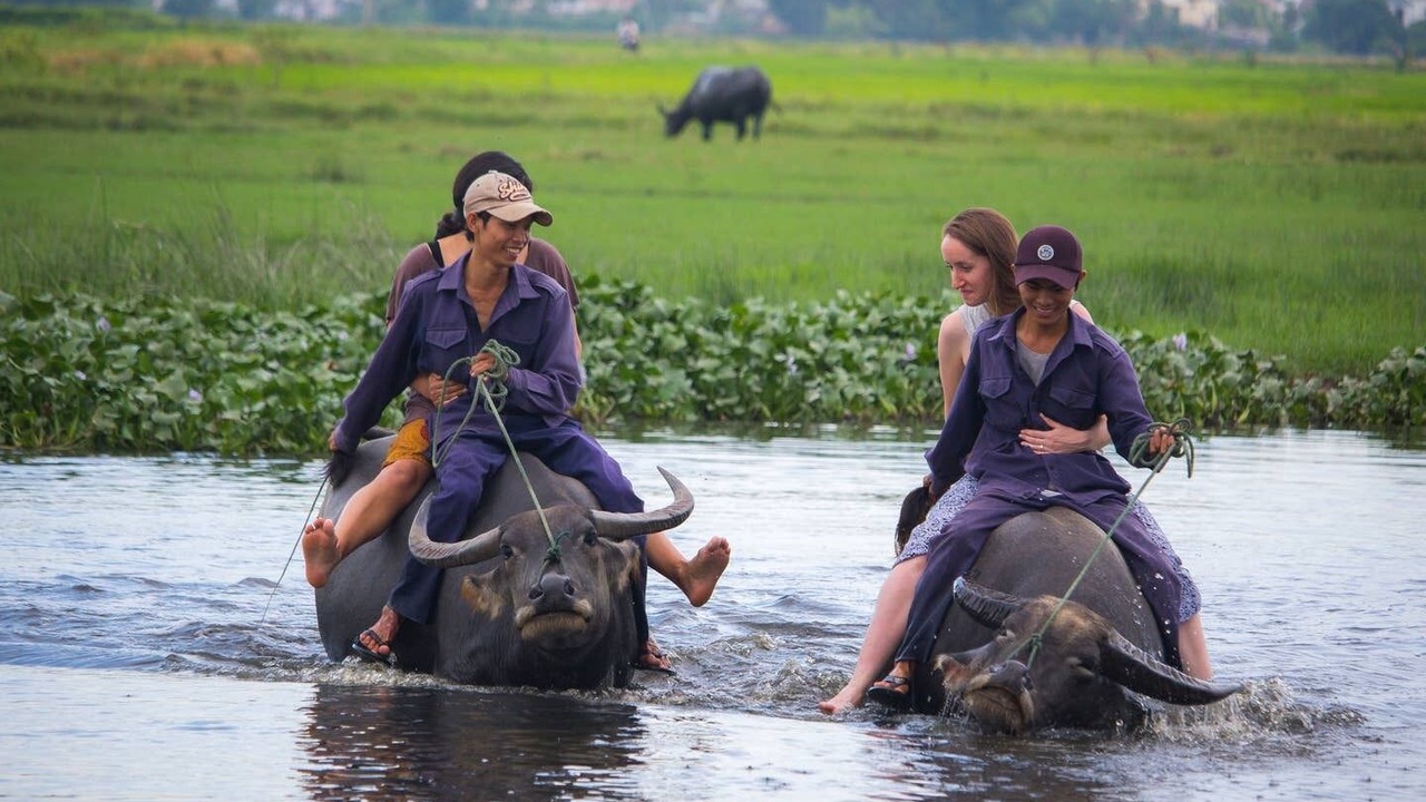 Photo of Others in Hoi An