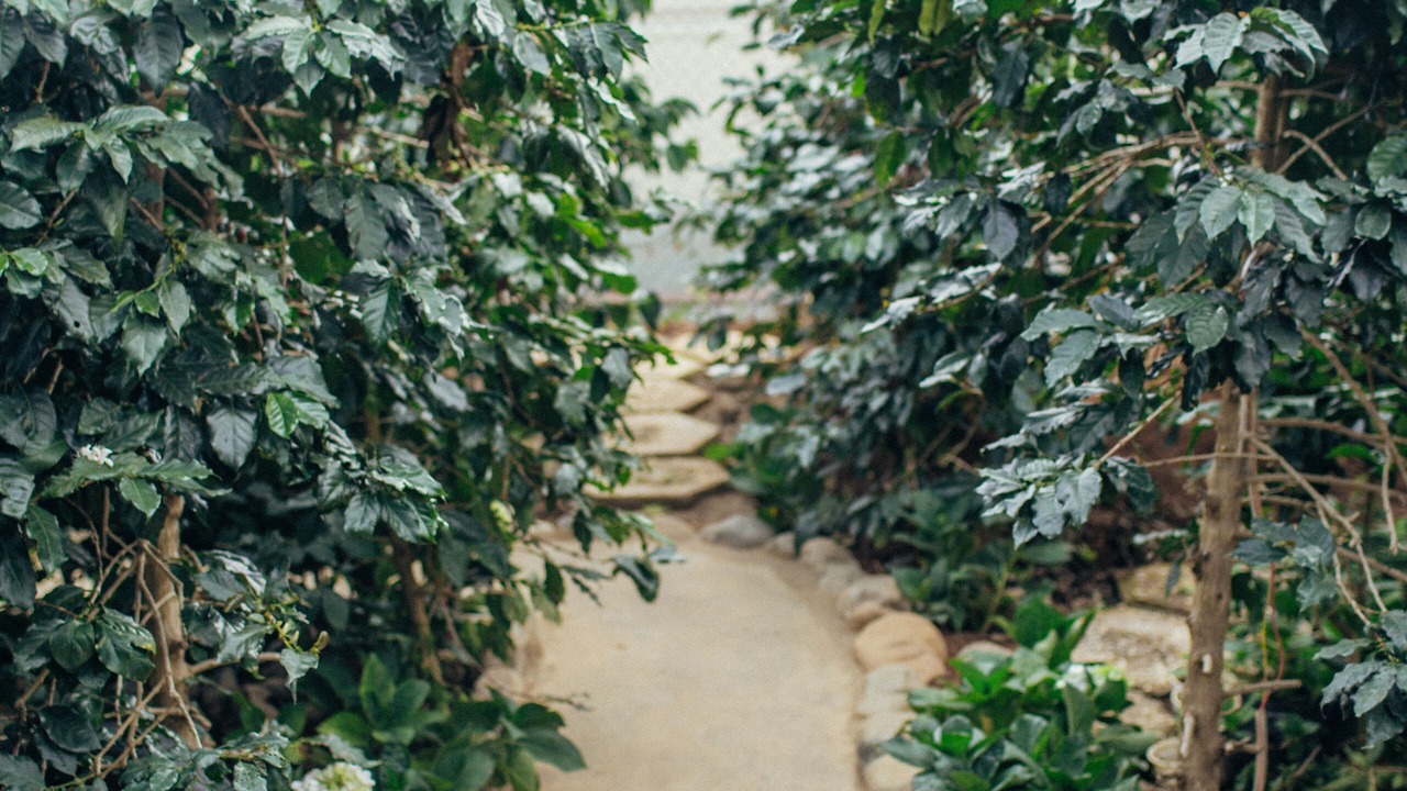 Photo of Outdoor in Da Lat
