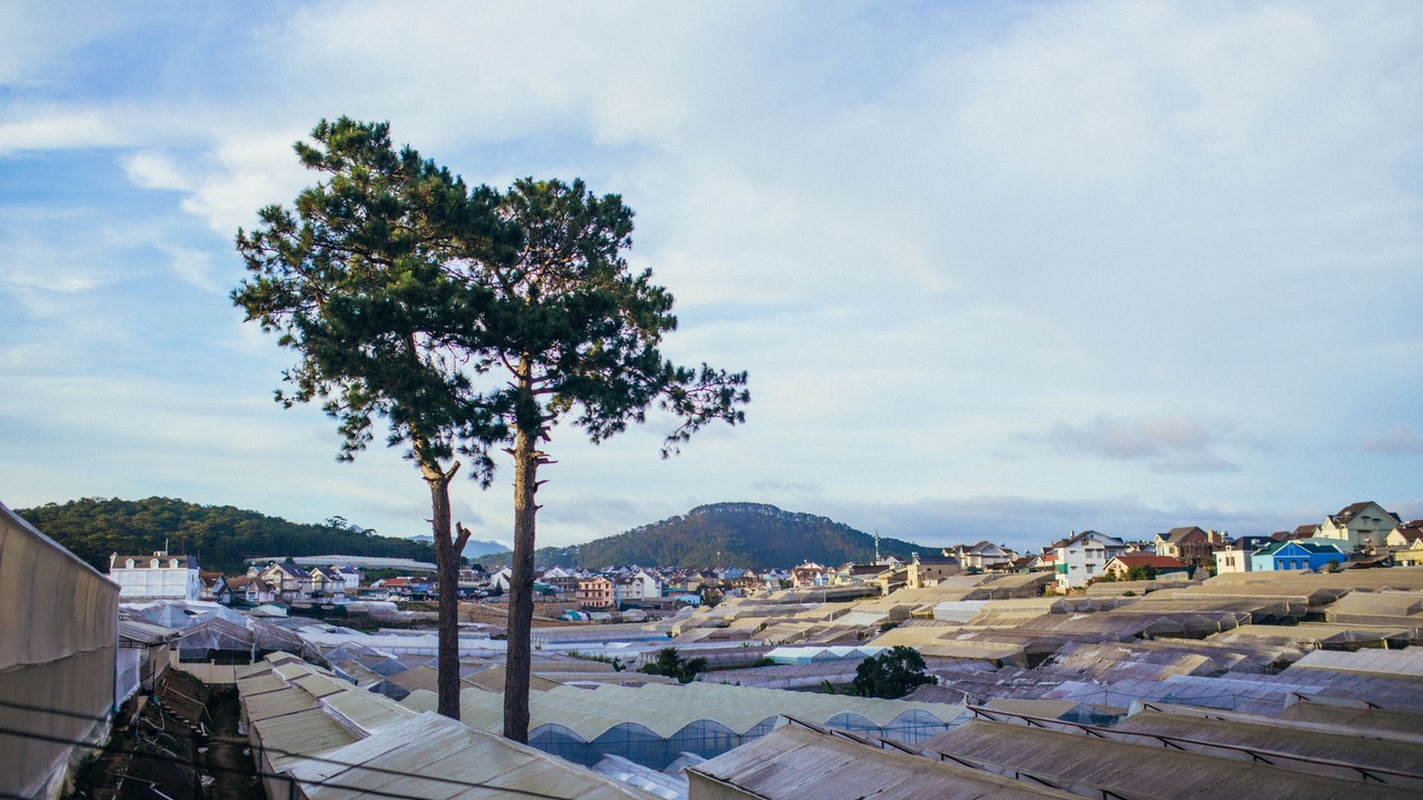 Photo of Others in Da Lat