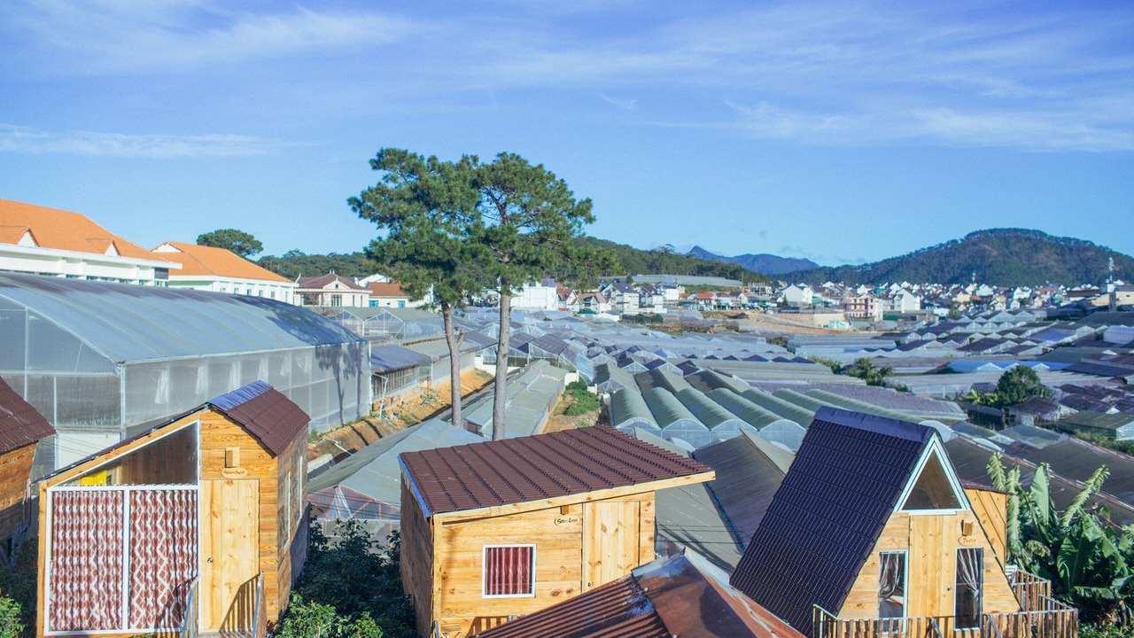 Photo of Others in Da Lat