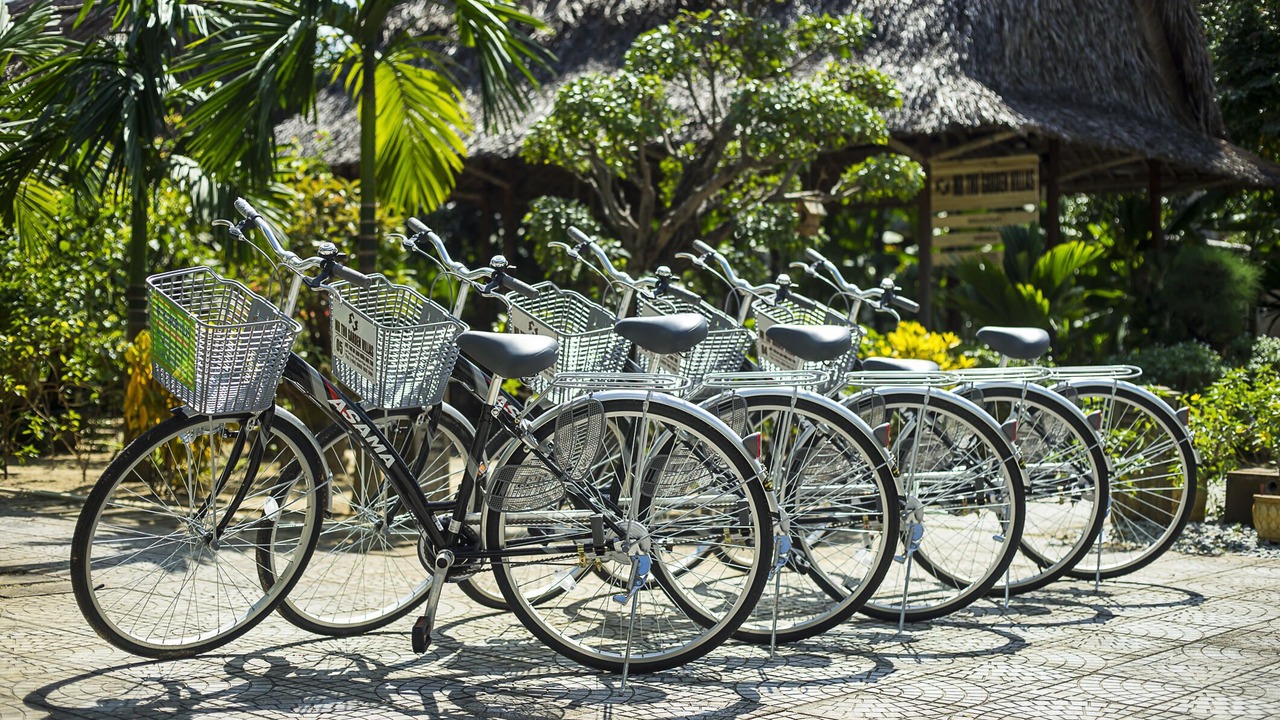 Photo of Outdoor in Cam Thanh