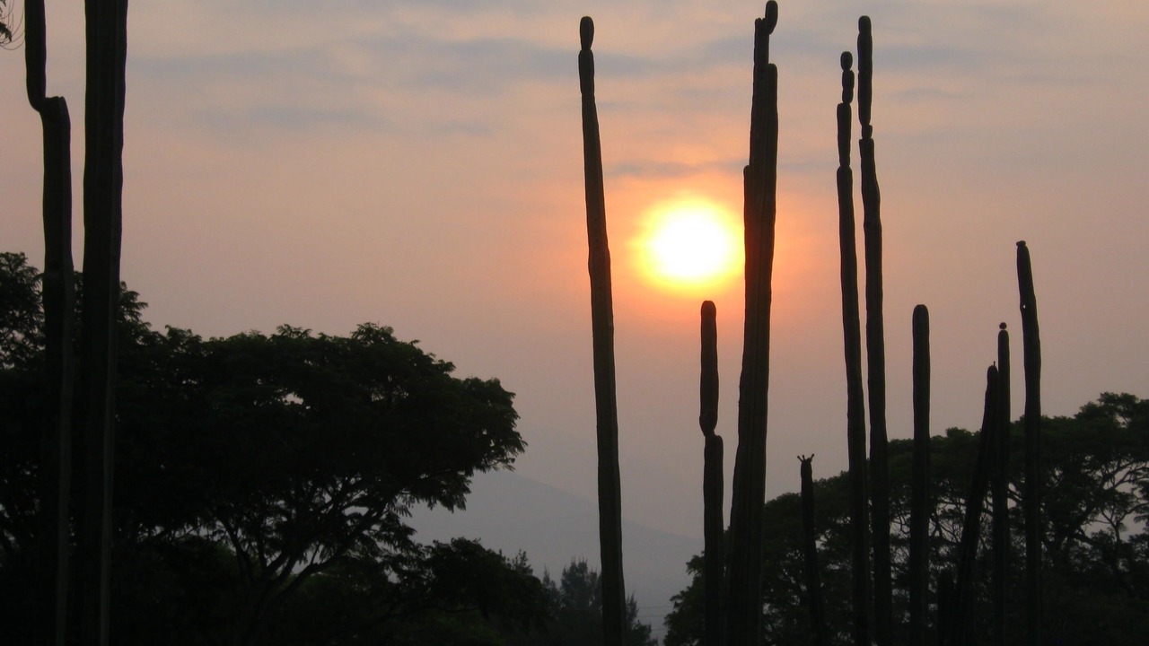 Photo of Others in Rojas de Cuauhtemoc