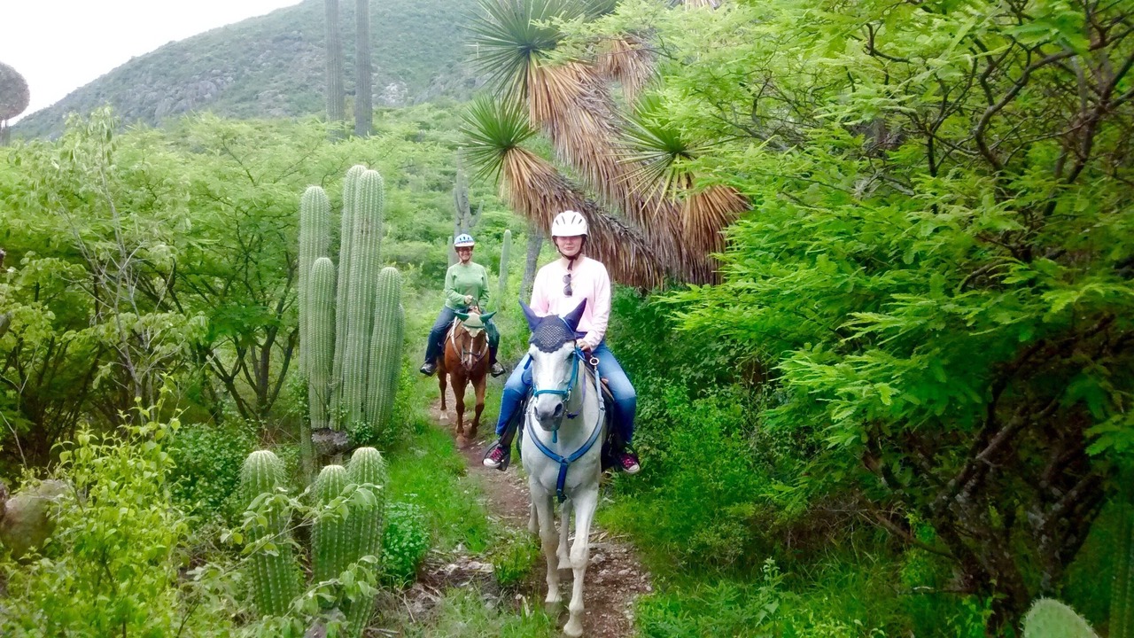 Photo of Others in Rojas de Cuauhtemoc