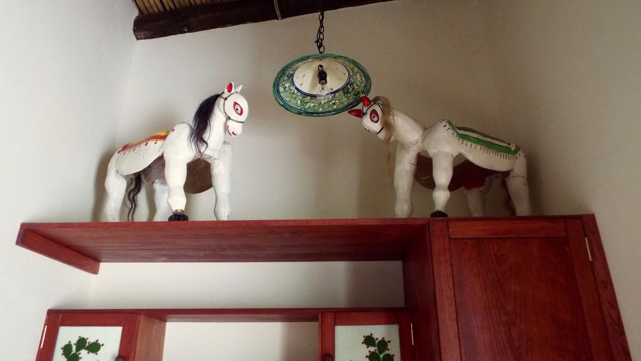 Photo of Others in Rojas de Cuauhtemoc
