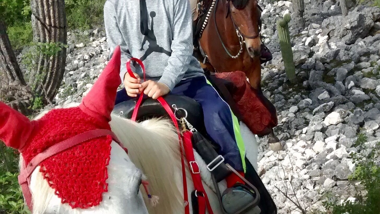 Photo of Others in Rojas de Cuauhtemoc