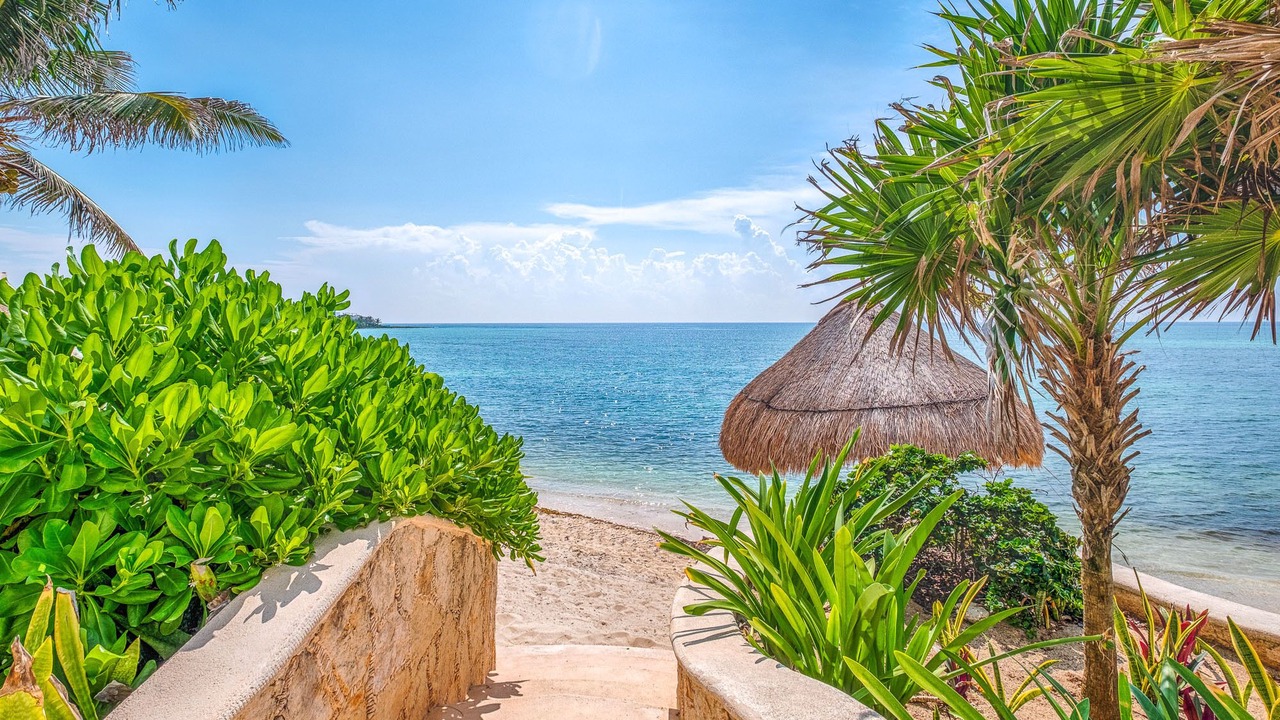 Photo of Others in Akumal