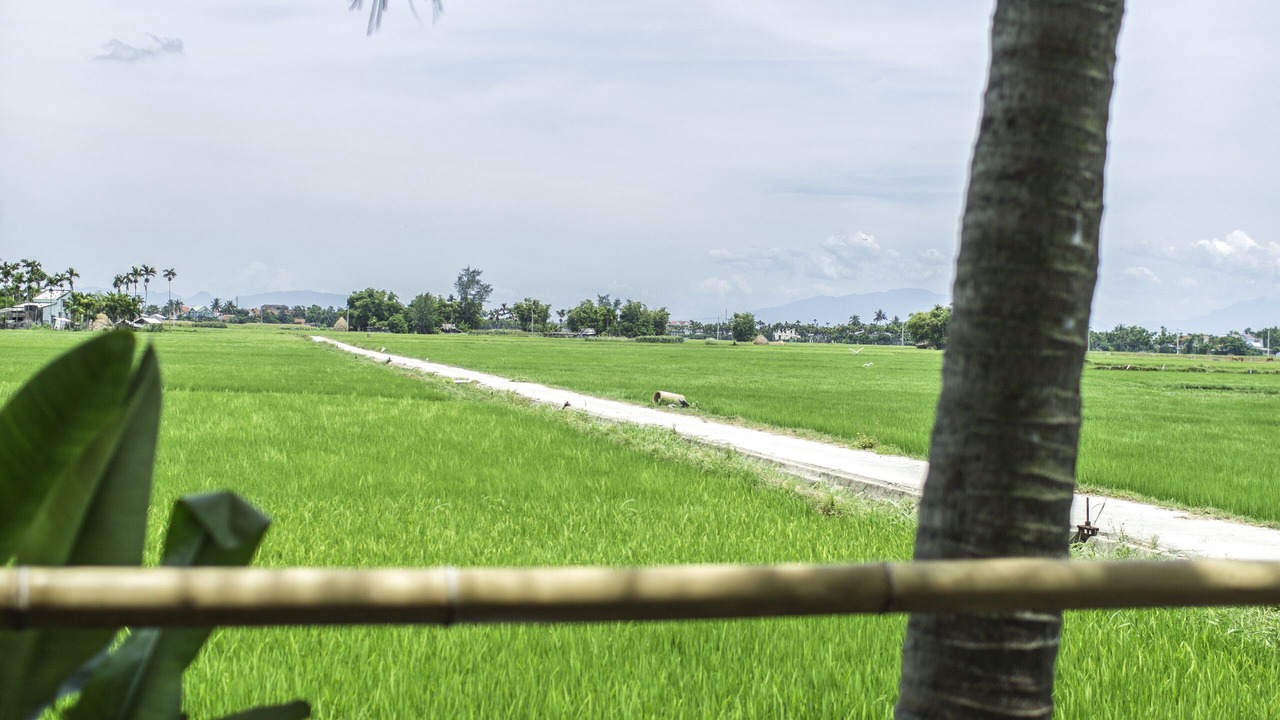 Photo of Outdoor in Cam Chau