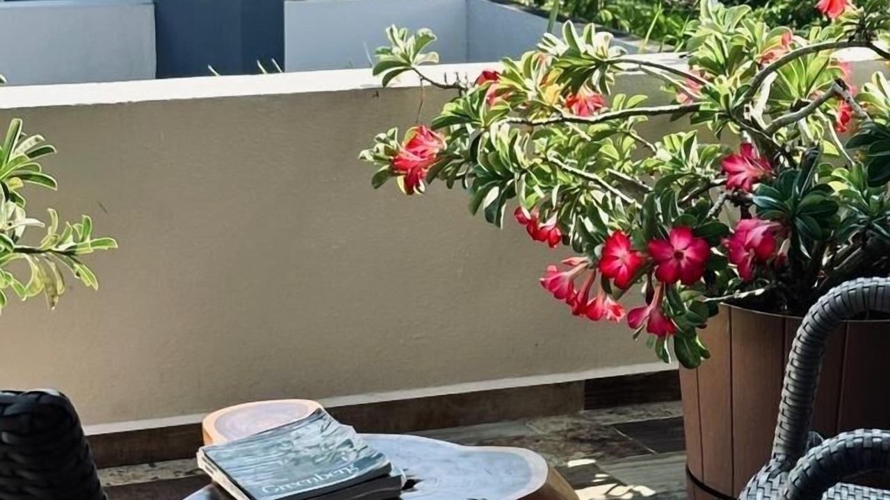 Photo of Patio Balcony in Crucecita